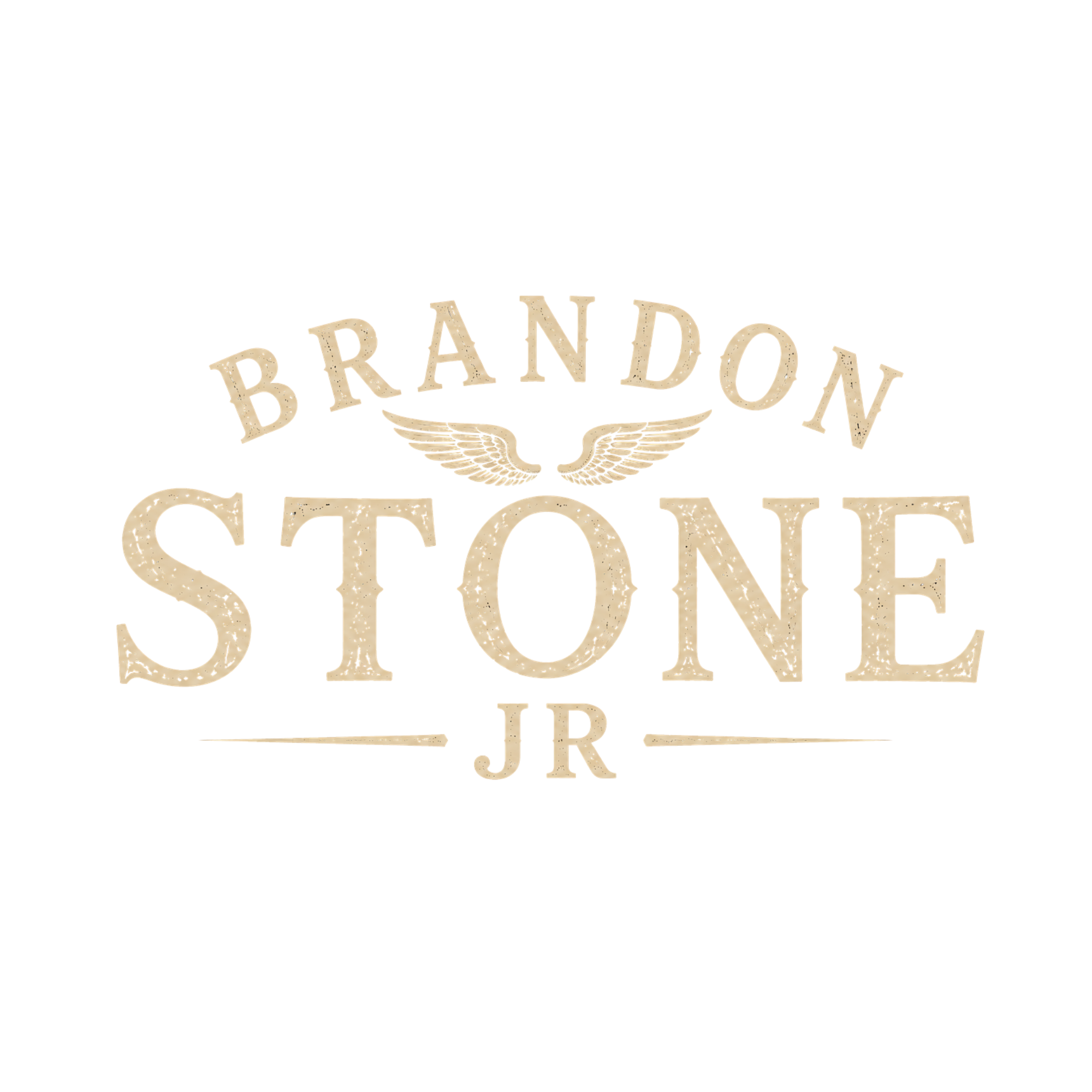 Brandon Stone Jr. — singer, songwriter and storyteller from Talking Rock, Georgia
